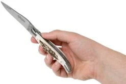 Laguiole En Aubrac 12cm Double Plates, Stag Horn Limado A Mano, L0712BCI/FSB1 -Luz de Acero AUL0712BCI FSB1 08 laguiole en aubrac