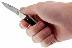 Buck 503 Prince 0503RWS-B, Palisandro 11 Buck 503 Prince 0503RWS-B, Palisandro -Luz de Acero BUCK0503RWS B 05 buck 503 prince knife buck0503rws b 05