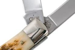 Case Trapper Amber Jigged Bone, 00164, 6254 SS Navaja -Luz de Acero CE164 06 case ce164 06