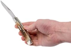 Case Trapper Amber Jigged Bone, 00164, 6254 SS Navaja -Luz de Acero CE164 09 case ce164 09