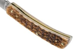 Case Sod Buster Jr Amber Jigged Bone, 245 6137 SS Navaja -Luz de Acero CE245 05 case ce245 05