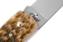 Case Sod Buster Jr Amber Jigged Bone, 245 6137 SS Navaja -Luz de Acero CE245 07 case ce245 07