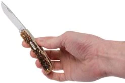 Case Sod Buster Jr Amber Jigged Bone, 245 6137 SS Navaja -Luz de Acero CE245 09 case ce245 09