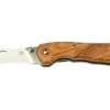 Fox Knives Spora Mushroom Satin Olive FX-409OL, Cuchillo Para Setas -Luz de Acero FOFX 409OL 01 foxknives