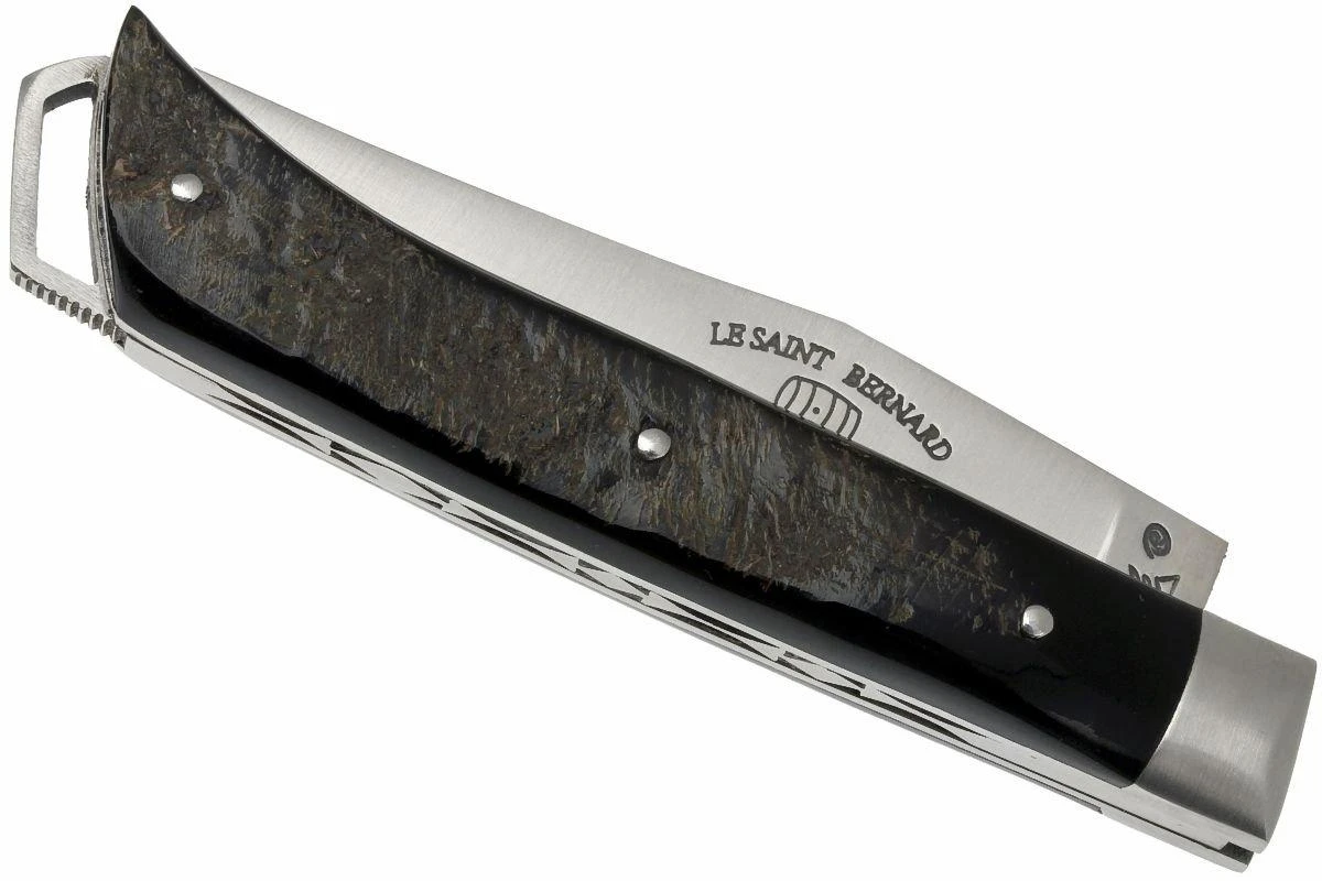 Fontenille Pataud Le Saint-Bernard, Cuerno De Búfalo Crudo, A1BB 5 Fontenille Pataud Le Saint-Bernard, Cuerno De Búfalo Crudo, A1BB - Imagen 3