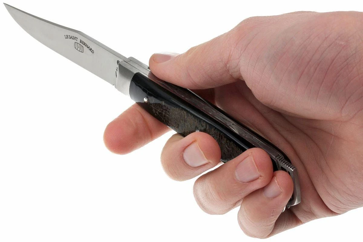 Fontenille Pataud Le Saint-Bernard, Cuerno De Búfalo Crudo, A1BB 8 Fontenille Pataud Le Saint-Bernard, Cuerno De Búfalo Crudo, A1BB - Imagen 6