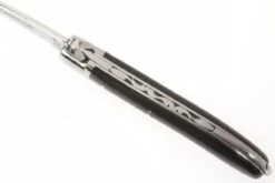 Fontenille Pataud XS Cuerno De Búfalo L4PCN -Luz de Acero FPL4PCN 04 fontenille pataud fpl4pcn d4