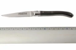 Fontenille Pataud XS Cuerno De Búfalo L4PCN -Luz de Acero FPL4PCN 06 fontenille pataud fpl4pcn d5