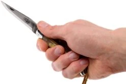 Forge Laguiole 12110INCABDF, Cuerno Aubrac -Luz de Acero LA12110INCABDF 07 forge de laguiole la12110incabdf 07