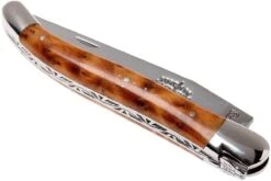 Forge Laguiole 1211INTHBRI, Ciprés De Cartagena -Luz de Acero LA1211INTHBRI 04 forge de laguiole la1211inthbri 04