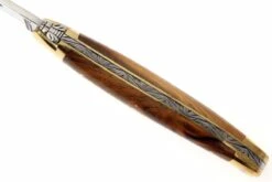 Forge Laguiole 1211PI, Madera De Pistache -Luz de Acero LA1211PI 04 forge de laguiole vouwmes la1211pi d4
