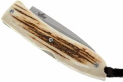 LionSteel Opera 8800 CE -Luz de Acero LI 8800 CE 03 lionsteel opera li 8800 ce d3