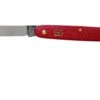 Victorinox Cuchillo Para Flores 3.9050.B1 Rojo -Luz de Acero VT3 9050 B1 01 victorinox